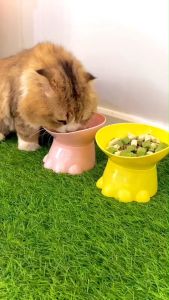 HM-ชามใส่อาหาร ไดโนเสาร์น่ารัก ชามอาหารสัตว์เลี้ยง สําหรับสัตว์เลี้ยง สุนัข แมว