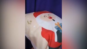 Free Shipping: 18x18 Inches Christmas Cushion Cover & Premium Quality Home Decor