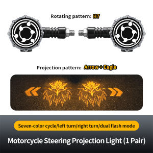 KEVANLY | 1Pair Universal Motorcycle LED Turn Signal Lamp with Projector DRL Indicator Lights RGB Flowing Flash Lamp for Electric Motor