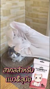 ผ้าเช็ดทำความสะอาดสัตว์เลี้ยง ถุงมือสัตว์เลี้ยง บำรุงเส้นผม (ห่อละ6แผ่น) หนะและไม่แตกง่าย เชื้อแบคทีเรียและดับกลิ่น