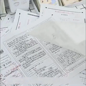 13 Layers Document Organizer Long Size A4 Expanding File Folder Portable Folder Bag Large Capacity