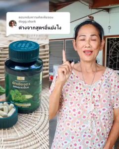 SN9 ผักเชียงดาผสมมะระขี้นก ผักเชียงดา มะระขี้นก เบาหวาน ความดัน ไต สมุนไพรลดน้ำตาล ผักเชียงดาแคปซูล