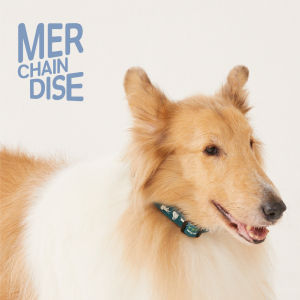 Paw ปลอกคอสำหรับสุนัขและแมว - สุขภาพและดูแลให้สวยงามสำหรับสุนัขและแมว