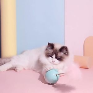 Đồ chơi lật đật cho mèo – Đen Ta pet shop