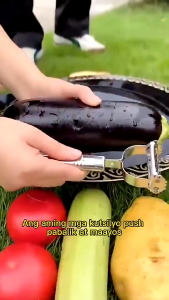 3Pcs/Set Stainless Steel Potato Cucumber Carrot Grater Feather Clip  Julienne Vegetable Fruit Peeler Kitchen Tools