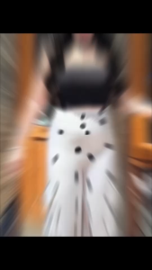 2bell กางเกงขายาวลายจุดผ้าใหมลิตาลี่กระเป๋าข้างเอวยืดผ้าใส่สบาย(kp3)