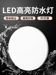 Outdoor Wall Lamp Waterproof Indoor Doorplate Corridor Villa Courtyard Light High Brightness Lighting round Absorption Ceiling Light