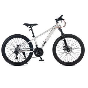 RoyalBaby | Suspension Gear Shift Kids and Teens Mountain Bike