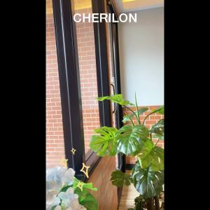 CHERILON UltraShield Tights เชอรีล่อน ถุงน่อง คุณภาพสูง กันแดด UV ถุงน่องกันหนาว หนา 70D นุ่ม ใส่สบาย แมทช์ง่าย CLL-HTUV01