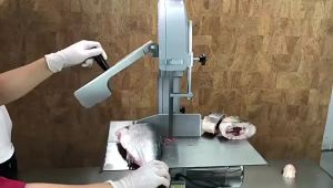 High-Performance Band Saw Blades for Cutting Bone, Frozen Fish, and Meat