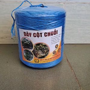 COMBO 2 cuộn Sợi cột chuối 3.5kg = 1855 mét dây / 1 cuộn.