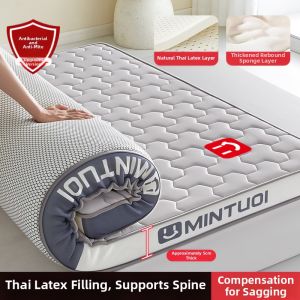 JIFANPAUL | Moisture-proof Sleeping Pad for Home Dormitory and Tatami 180*200cm
