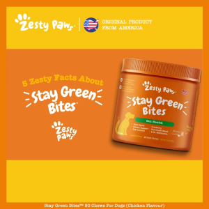 Zesty Paws Stay Green Bites for Dogs Gut Health - Chicken Flavor (90 Soft Chews) (EXP:07 2026)