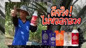 อะมิโนพืช เรด (Amino Red) ขวดเล็ก ขนาด 250 ml สูตรช่วยเพิ่มคุณภาพผลผลิต ให้ผลผลิตดก ผลใหญ่