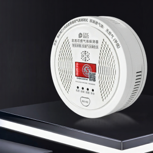 Boleesch | Gas Leak Detector With Wireless Valve Actuation