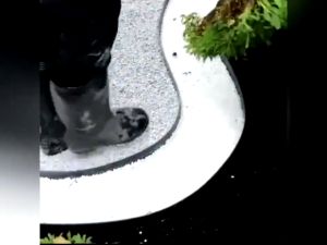 📍ส่งเร็ว📍ขอบกันดิน ขอบกั้นดิน 10เมตร (พร้อมตะปู) วัสดุ PE อย่างดี ใช้งานยาวนาน มีคุณภาพ จัดสวนแยกดินแยกหินได้ดี (พร้อมส่ง 1-2 วัน)