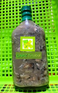Capiz Tinabal Bagoong Ginamos