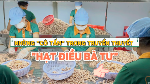 HẠT ĐIỀU BÓC VỎ BÀ TƯ TÚI HÚT CHÂN KHÔNG 500GR