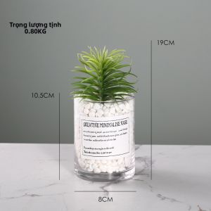 GLMHome | Cây Nối Đáy Nhân Tạo Phong Cách Bắc Âu
