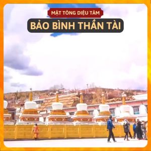 Bảo Bình Hoàng Thần Tài - Bình Tài Bảo Chiêu Tài Lộc đã gia trì đồ thờ cúng ban thần tài - shop Mật Tông Diệu Tâm