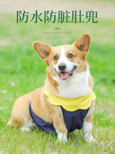Corgi Apron Waterproof Belly Protection Dog Summer Special Spring & Fall Prevent Catching Cold Pet Dog Raincoat Anti-Dirty Dog Clothes