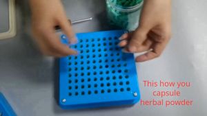 1000 pcs 25 cents Size 0 Empty Capsule (500 mg)