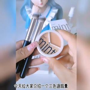 Sweet Mint Tri-Color Concealer Palette Full Coverage Foundation Cream Matte Waterproof(White Box) 三色强力遮瑕膏
