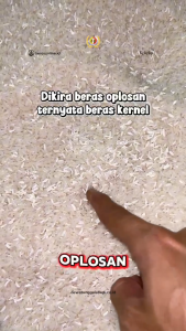 Beras Online - Idola Beras Fortifikasi 20 kg