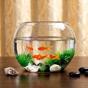 Hồ Cá Thuỷ Tinh Tròn Bầu 24 x 16 Cm T02 Tặng Kèm Sỏi Và Rong Trang Trí