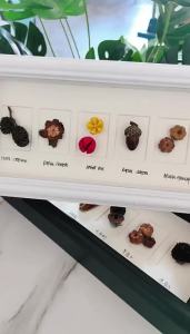 DIHUANTUO | Handmade DIY Specimen Display Photo Frame
