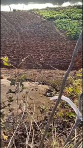 60CM/80CM Weeding Sickle Steel Grass SickleGrass Whip Lightweight Sickle Garden Tool Long Handle for Garden Yard