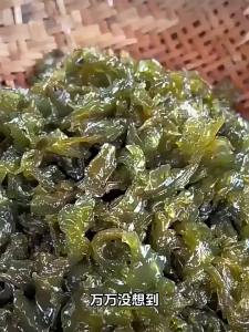 Wild Geotrichum Fresh This Year Dry Goods