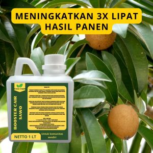 Pupuk Semprot Pelebat Buah SAWO: Panduan Lengkap