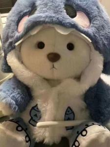 Bear Costume Doll Plush Toys Cute Gift for Bé Gáis Children Doll Set Stuffed Animal Toy Universal Gender PP Cotton Filled