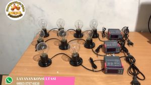 Paket Siap Pakai STC1000 Kapasitas 20 Sampai 30 Butir Telur Mesin Tetas