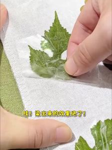 Marie’s | Plant Leaf Printing DIY Tool Kit
