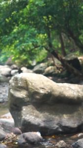 Kahf Triple Protection Sunsscreen Moisturizer SPF 30