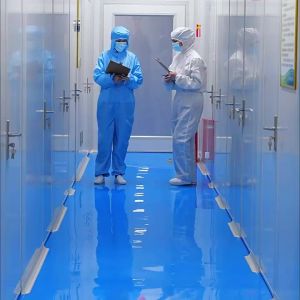 Black Garlic Oil Gel Candy Oral Instant Food Tablets Compound Shandong Wholesale Garlic Oil Soft Capsules