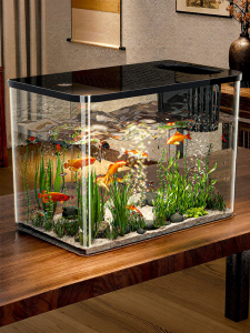 XINGYOU | Compact Pet Fish & Turtle Breeding Transparent Aquarium