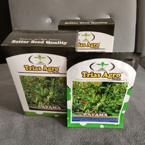 Benih Cabai Rawit Hijau Super Lebat Rayama F1 (Tahan Virus) Isi 10 Gram Benih Bibit Cabai Rawit Hijau RAYAMA F1 - TRIAS AGRO
