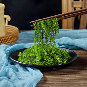 Healthy Children Snacks Ready-to-Eat Seaweed Fish Roe