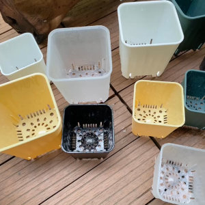 CVSOC8CM - 10 chậu vuông sọc 8cm dầy chất liệu nhựa PP xịn - trồng sen đá bonsai xương rồng có 5 màu chọn