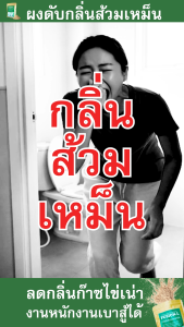 FUSION-L ผงดับกลิ่นส้วม ถุง250กรัม EMลดก๊าซไข่เน่า ย่อยสลายสิ่งปฏิกูลบ่อบำบัด ลดกลิ่นส้วมแตก แก้ท่อตัน ไร้สารเคมี