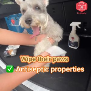 PetMedic Antiseptic Pet Wipes (10 Wipes) Antibacterial Pet Wet Tissue Wipe for Cat and Dog