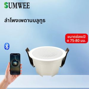 มินิบลูทูธลําโพงเพดานเสียงสเตอริโอเครื่องเสียงภายในบ้านระบบเพลงพื้นหลังสําหรับห้องน้ําห้องครัวห้องนั่งเล่นห้องนอน