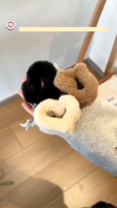 Plush Heart Hair Clip Klip Rambut Mewah Bentuk Hati Hair Pin Hair Accessories Women