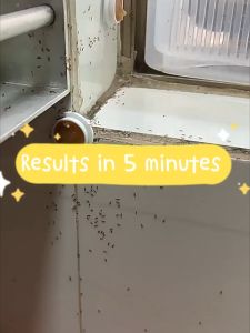 ant killer bait Kill Colonies Fast Professional Ant Gel Bait