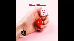 Bộ 2 viên xúc xắc nút trái tim đỏ trắng 25mm cao cấp