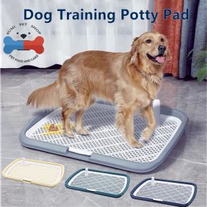 Extra Large Dog Toilet: A Comprehensive Guide