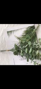 Bunga Plastik Eucalyptus Palsu Hias Daun Artificial Harga 1 Tangkai / Daun Dekorasi Buket Hiasan / Artificial Flocking Eucalyptus